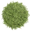 Matcha Iri Sencha lose