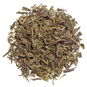 Sencha