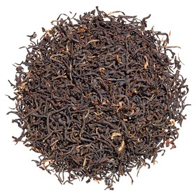 Assam Nahorhabi