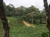 Kolumbien-1.jpg