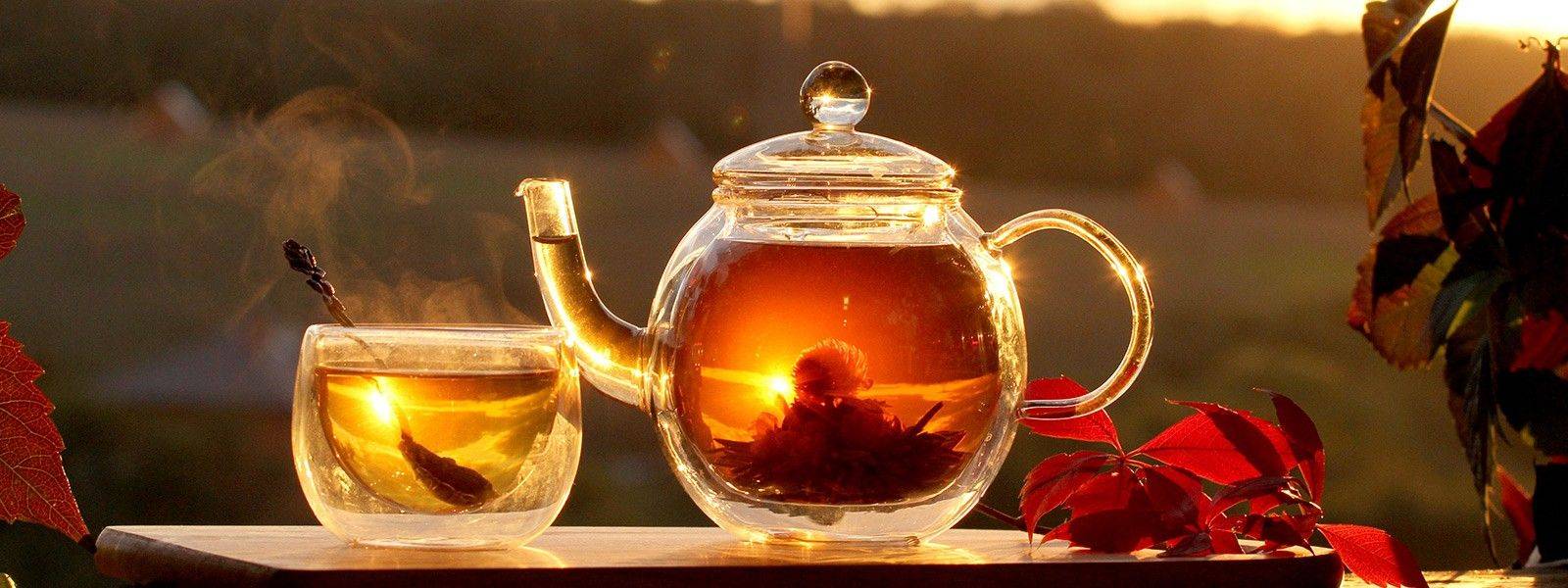 Glasteekanne und Teetasse mit dem Tee im Sonnenuntergang, umgeben von roten Herbstblättern