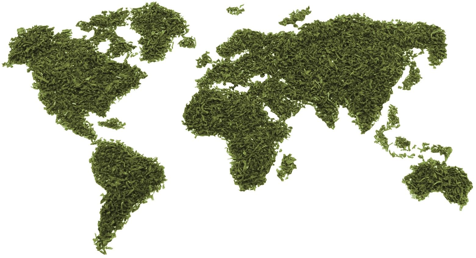 Ronnefeldt Tee international World map made of loose green tea leaves on a white background