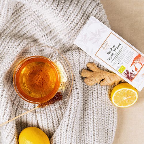 Glastasse mit goldenem Rooibos-Tee auf einer gestrickten Decke, daneben eine Packung Ronnefeldt Rooibos Ingwer-Zitrone Tee, frischer Ingwer, Zitronenhälften und ein Kandiszstick.